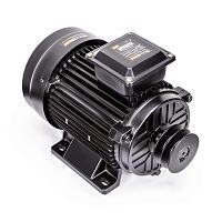 Электродвигатель в сборе AEROMAX EM-550