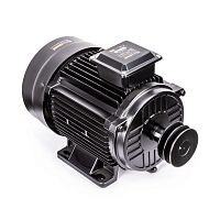 Электродвигатель в сборе AEROMAX EM-700