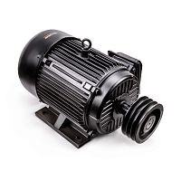 Электродвигатель в сборе AEROMAX EM-1350