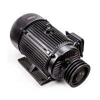 Электродвигатель в сборе AEROMAX EM-1650